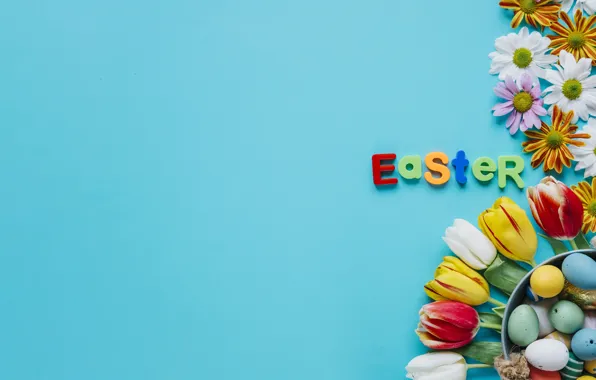 Цветы, ромашки, весна, colorful, Пасха, тюльпаны, хризантемы, flowers