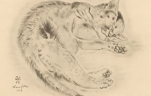Картинка котик, пушистый, спит, милашка, 1929, Tsuguharu Foujita, Книга Кошек