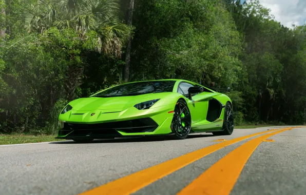 Lamborghini, Green, Aventador, Road, VAG