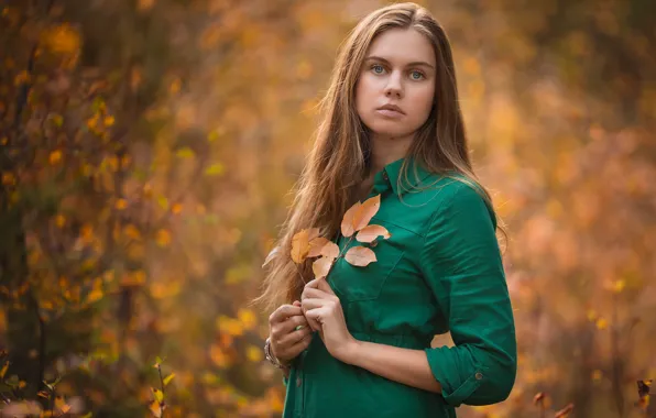 Осень, взгляд, девушка, природа, лицо, милая, портрет, боке
