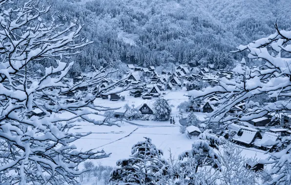 Зима, снег, дома, Япония, деревня, остров Хонсю, Гокаяма, Сиракава-го