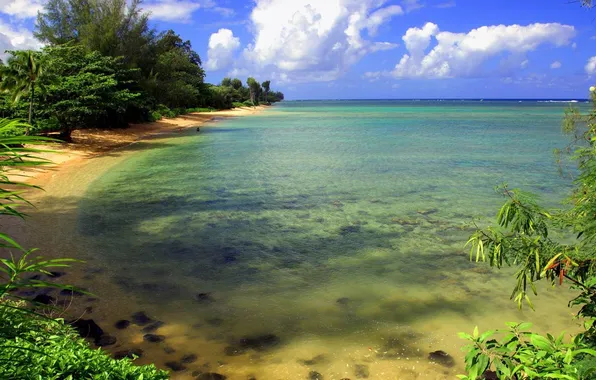 Море, вода, облака, деревья