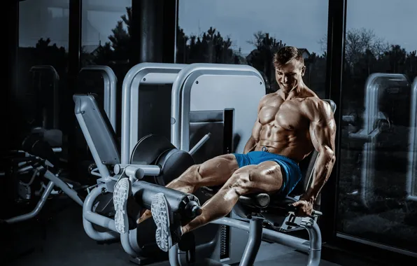 Power, workout, gym, bodybuilder