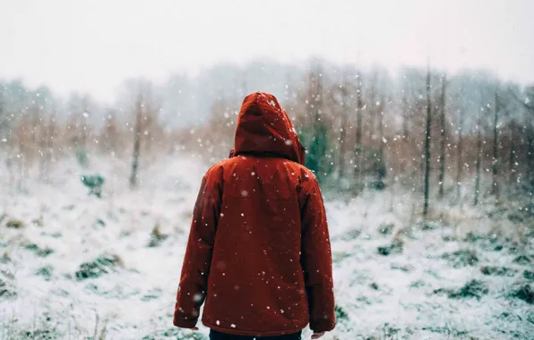 Girl, forest, snow, morning, sunrise, snowy, hood, woodland