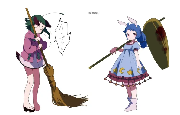 Хвост, белый фон, метла, ушки, touhou, голубые волосы, art, Touhou Project