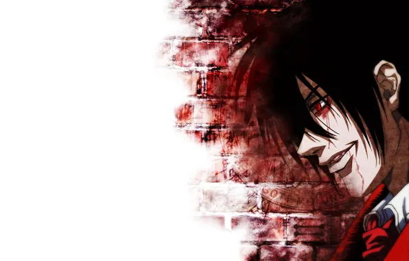 Стена, вампир, парень, Hellsing, Хеллсинг