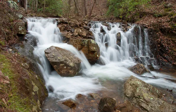 Лес, камни, водопад, Alabama, Bains Gap Falls