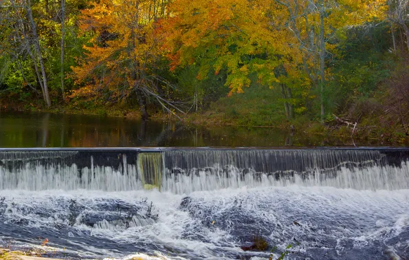 Картинка осень, лес, деревья, река, водопад, пороги