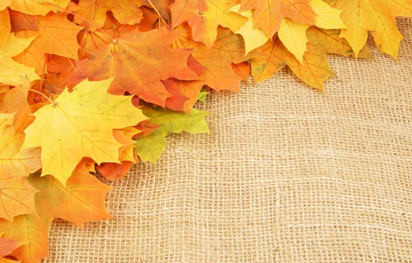 Картинка осень, листья, прожилки