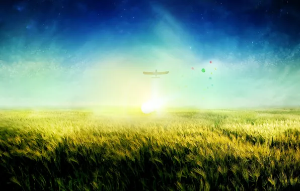 Картинка поле, трава, рассвет, солнышко, заря