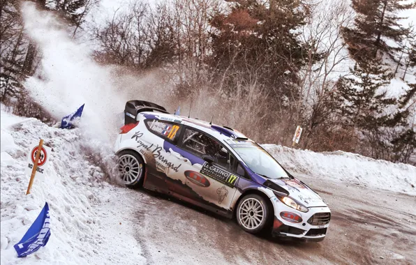 Ford, WRC, Rally, Fiesta