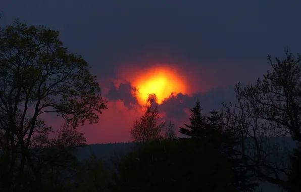 Картинка небо, облака, деревья, закат, природа, силуэт, зарево
