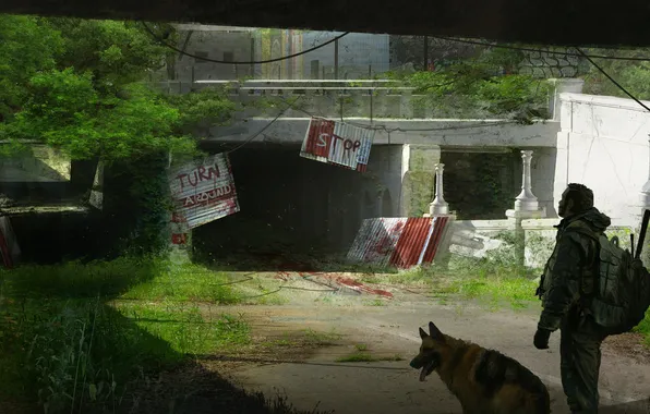Картинка город, апокалипсис, человек, собака