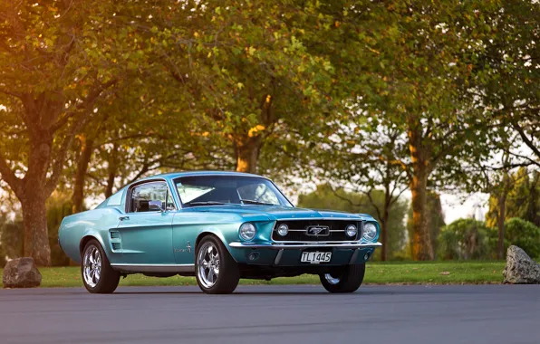 Дорога, Mustang, Ford, 1967, Fastback, камень лес