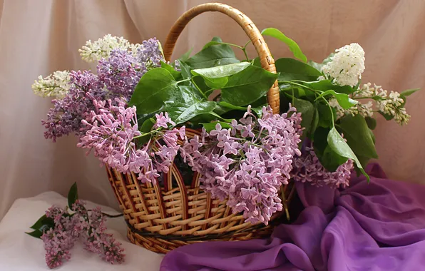 Цветы, букет, ткань, натюрморт, корзинка, сирень