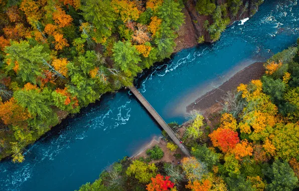 Картинка осень, лес, мост, природа, река