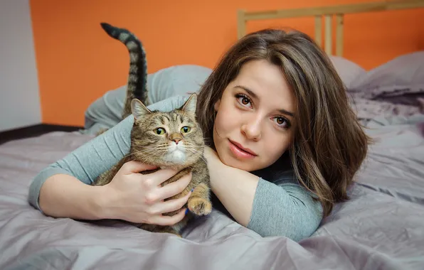 Кошка, кот, девушка, улыбка, серый, кровать, портрет, хвост