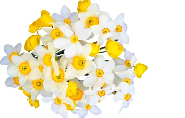 Цветы, свежесть, красота, букет, весна, white, белые, yellow