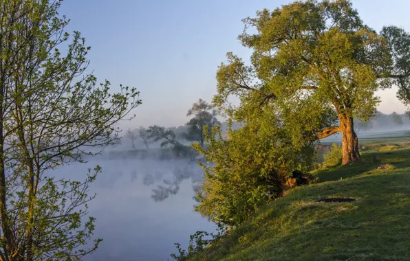 Картинка пейзаж, природа, туман, река, рассвет, берег, утро