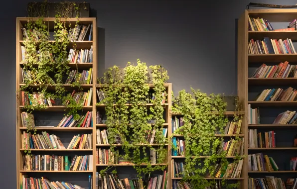 Книги, растения, полка, книжки, полки, books