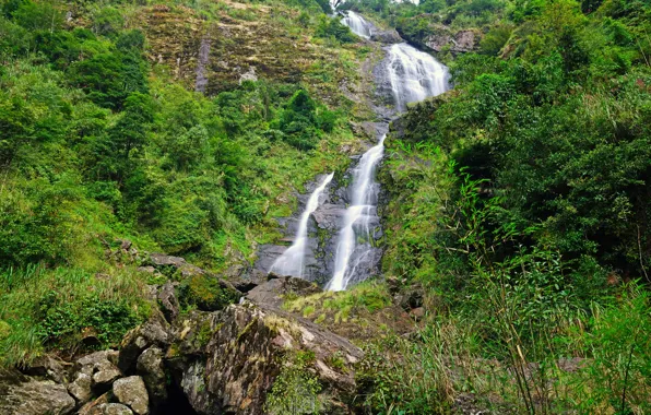 Зелень, трава, деревья, ручей, камни, водопад, склон, Вьетнам