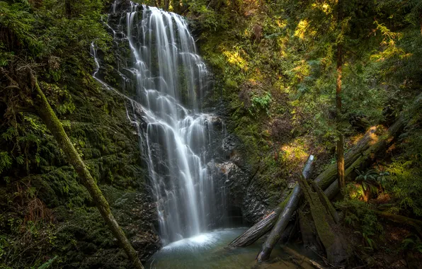 Картинка водопад, California, брёвна, Berry Creek Falls