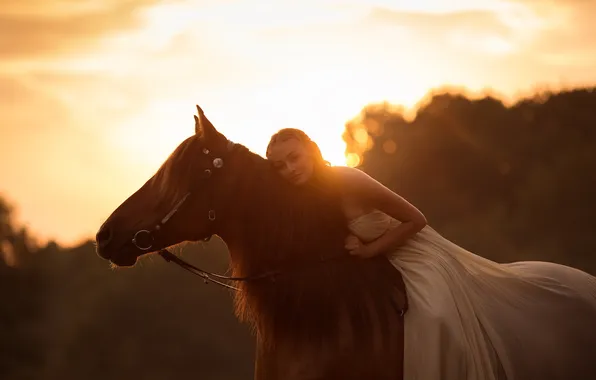 Картинка девушка, закат, конь