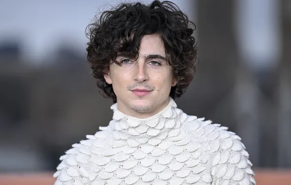 Актёр, знаменитость, Timothee Chalamet