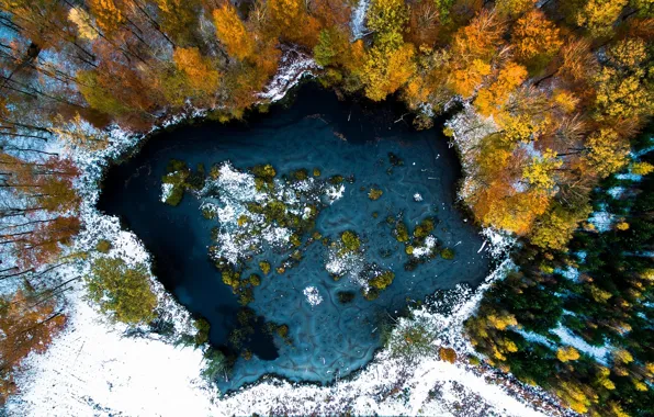 Картинка зима, осень, снег, деревья, озеро, краски, вид сверху