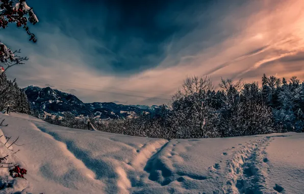 Картинка зима, снег, природа