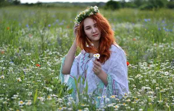 Поле, лето, взгляд, девушка, цветы, природа, поза, настроение