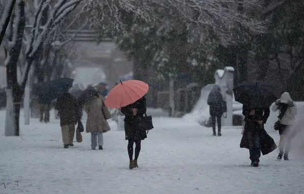 Картинка снег, улица, зонтики, прохожие, Benjamin Torode