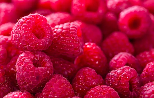 Ягоды, малина, фон, background, Raspberry