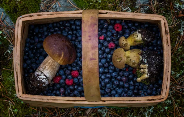 Картинка ягоды, корзина, грибы