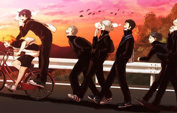 Аниме, арт, команда, парни, волейбол, Haikyuu