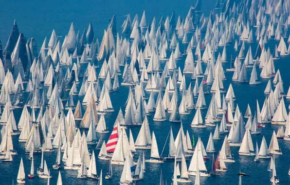 Море, спорт, яхты, лодки, паруса, парад, boats, регата
