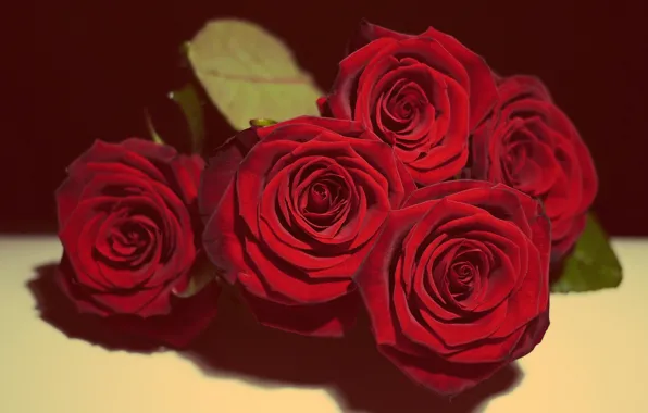 Картинка Love, Beautiful, Flowers, Roses, Vintage, Valentine's Day, Romantic, Gift