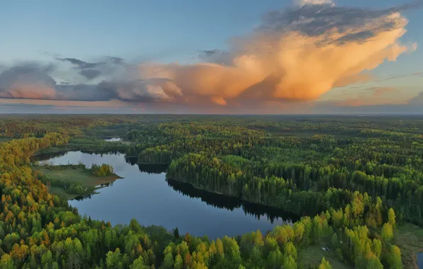 Небо, облака, пейзаж, закат, природа, леса, Владимир Рябков, Гостилицкое озеро