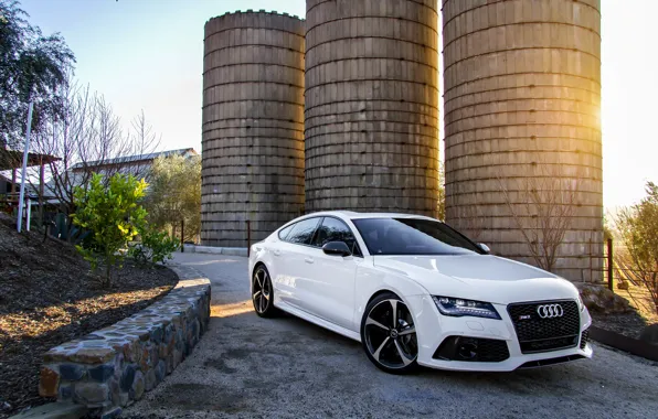 Audi, ауди, белая, white, front, RS7