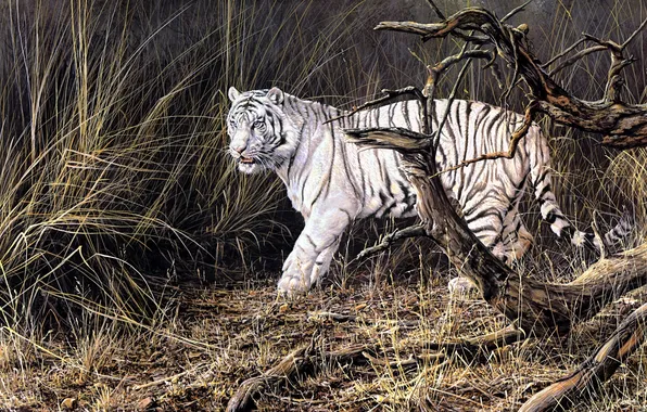 Картинка осень, животные, тигр, живопись, белый тигр, сухая трава, Alan M. Hunt, валежник