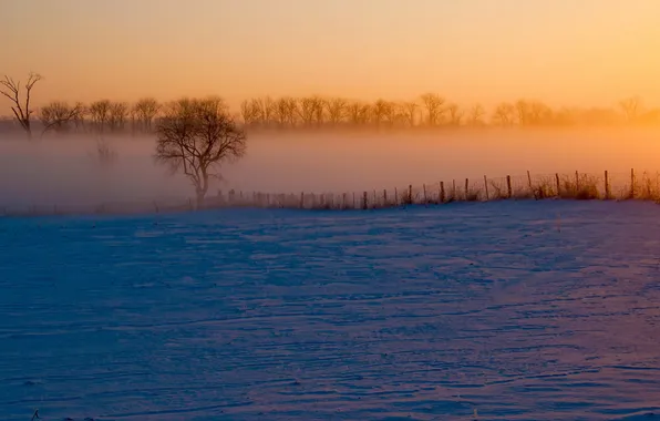 Картинка зима, пейзаж, туман