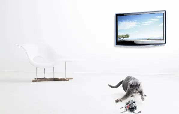 Картинка клубок, телевизор, серый кот, Christophe Gilbert, современный стул