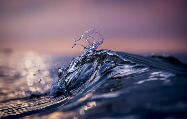 Волна, горизонт, капли воды, размытость боке