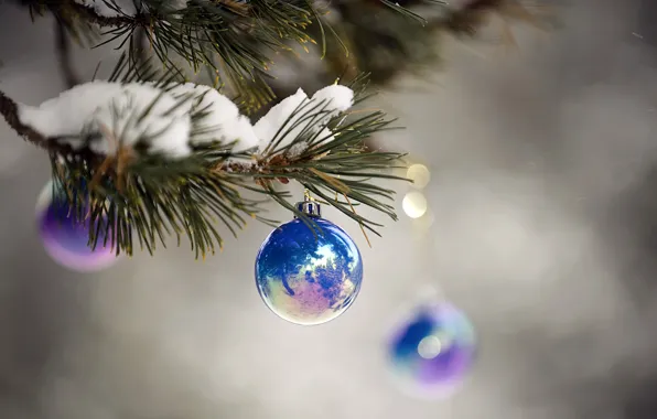 Макро, снег, синий, праздник, новый год, ветка, блестящий, ёлочные шары