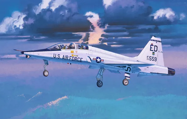 Картинка art, painting, jet, T-38A Talon 'USAF'