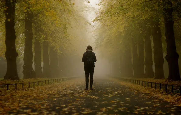 Girl, misty, trees, park, autumn, leaves, fog, branches