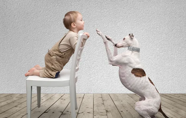 Игра, собака, мальчик, малыш, друзья, Baby, dog