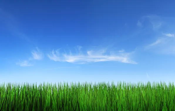 Картинка небо, трава, облака, природа, фото, фон, пейзажи