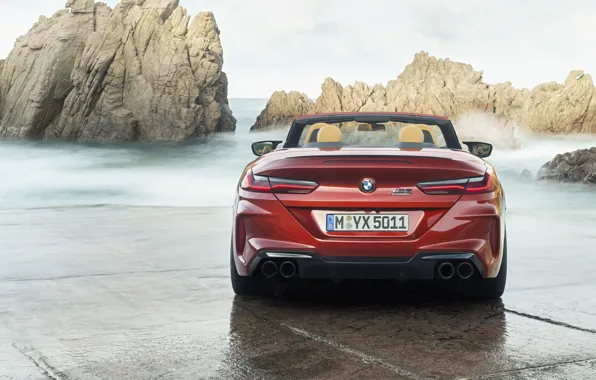 BMW, суперкар, вид сзади, Cabrio, Competition, 2019, BMW M8, F91