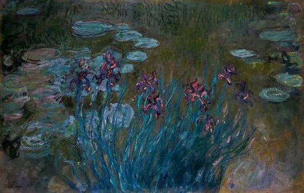 Цветы, болото, Claude Monet, Irises and Water-Lilies